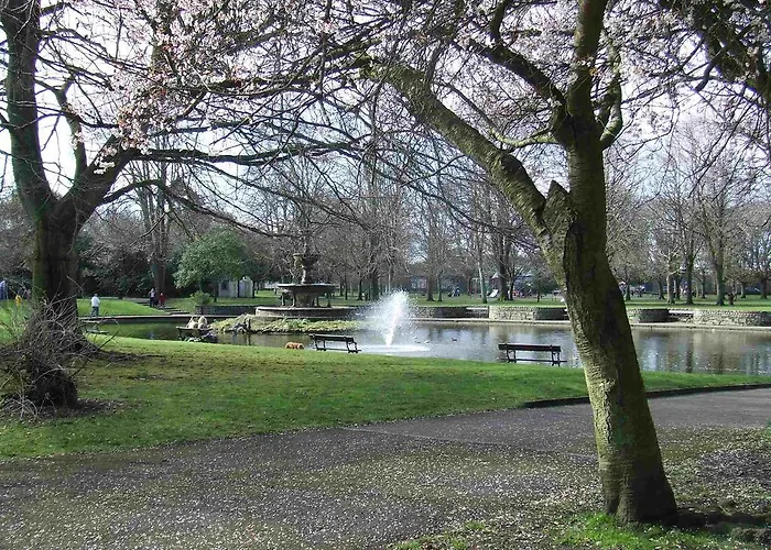 Castlewhite - Ucc Summer Beds * Cork